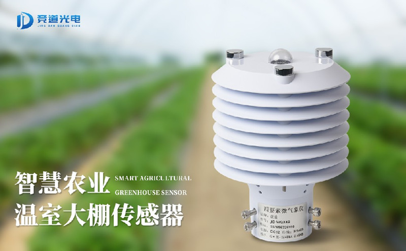 氣象傳感器在白靈菇養殖中的重要作用